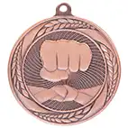 Bronze Typhoon Martial Arts Medal 55mm Bronze Typhoon Martial Arts Medal 55mm