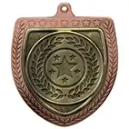 Bronze Cobra Shield Multisport Medal 70mm