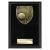Cobra Tennis Plaque 150mm - view 1