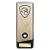 Gold Prime Swimming Trophy 190mm - view 1