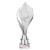 Silver Super Volcano Trophy 260mm - view 1
