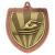 Bronze Cobra Shield Swimming Medal 70mm - view 1