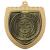 Gold Cobra Shield Multisport Medal 70mm - view 1