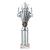 Silver Super 5 Star Trophy 290mm - view 1