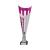 Pink Garrison Cup Trophy 305mm - view 1