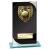 Seismic Black Glass Cricket Award 170mm - view 1