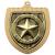 Gold Cobra Shield Well Done Medal 70mm - view 1