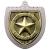 Silver Cobra Shield Well Done Medal 70mm - view 1