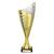 Gold Nebula Cup Trophy 330mm - view 1