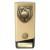 Gold Prime Cobra Cricket Trophy 160mm - view 1