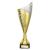 Gold Nebula Cup Trophy 350mm - view 1