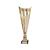 Gold Garrison Cup Trophy 305mm - view 1