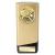 Gold Prime Star Padel Trophy 160mm - view 1
