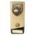 Gold Prime Cobra Netball Trophy 160mm - view 1