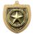 Gold Cobra Shield Well Done Medal 70mm - view 1