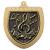 Gold Cobra Shield Music Medal 70mm - view 1