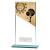Mustang Jade Glass Padel Award 180mm - view 1