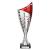 Red Nebula Cup Trophy 330mm - view 1