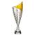 Silver Nebula Cup Trophy 320mm - view 1
