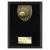 Cobra Tennis Plaque 175mm - view 1