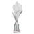 Silver Super Volcano Trophy 285mm - view 1