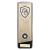 Gold Prime Swimming Trophy 220mm - view 1