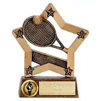 Gold Star Tennis Award