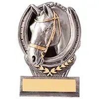 105mm Falcon Equestrian Award