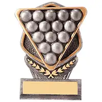 150mm Falcon Pool Snooker Award