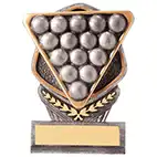 150mm Falcon Pool Snooker Award