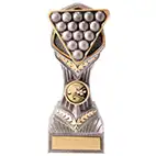 190mm Falcon Pool Snooker Award