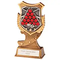 175mm Titan Snooker Award
