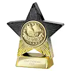 Gold Superstar Reading Award 110mm