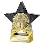 Gold Superstar Maths Award 110mm