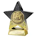 Gold Superstar Spelling Award 110mm