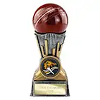Digital Cricket Ball Trophy 125mm