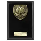 Cobra Lawn Bowls Plaque 150mm
