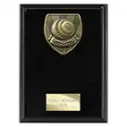 Cobra Lawn Bowls Plaque 175mm