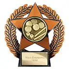 Emperor Star Bronze Pool Plaque