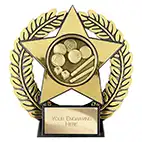 Emperor Star Gold Pool Plaque