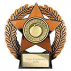 Emperor Star Bronze Head Teacher Award Plaque