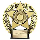 Emperor Star Gold Head Teacher Award Plaque