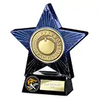 Blue Superstar Head Teacher Award 140mm