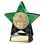 Green Superstar Maths Award 110mm