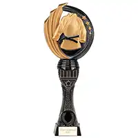 250mm Renegade II Tower Martial Arts Award