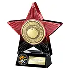 Red Superstar Head Teacher Award 140mm