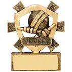 Mini Cricket Shield