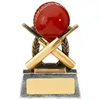 9.5cm Escapade Cricket Award