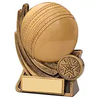 4.5in Motion Cricket Award
