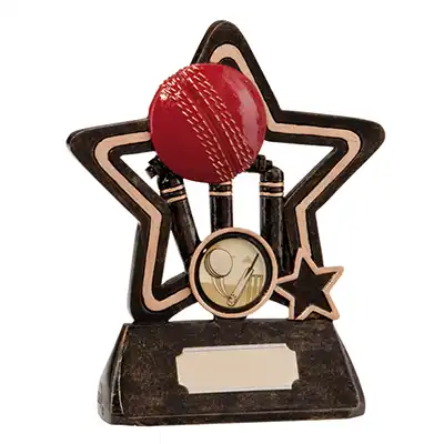 130mm Little Star Cricket Award
